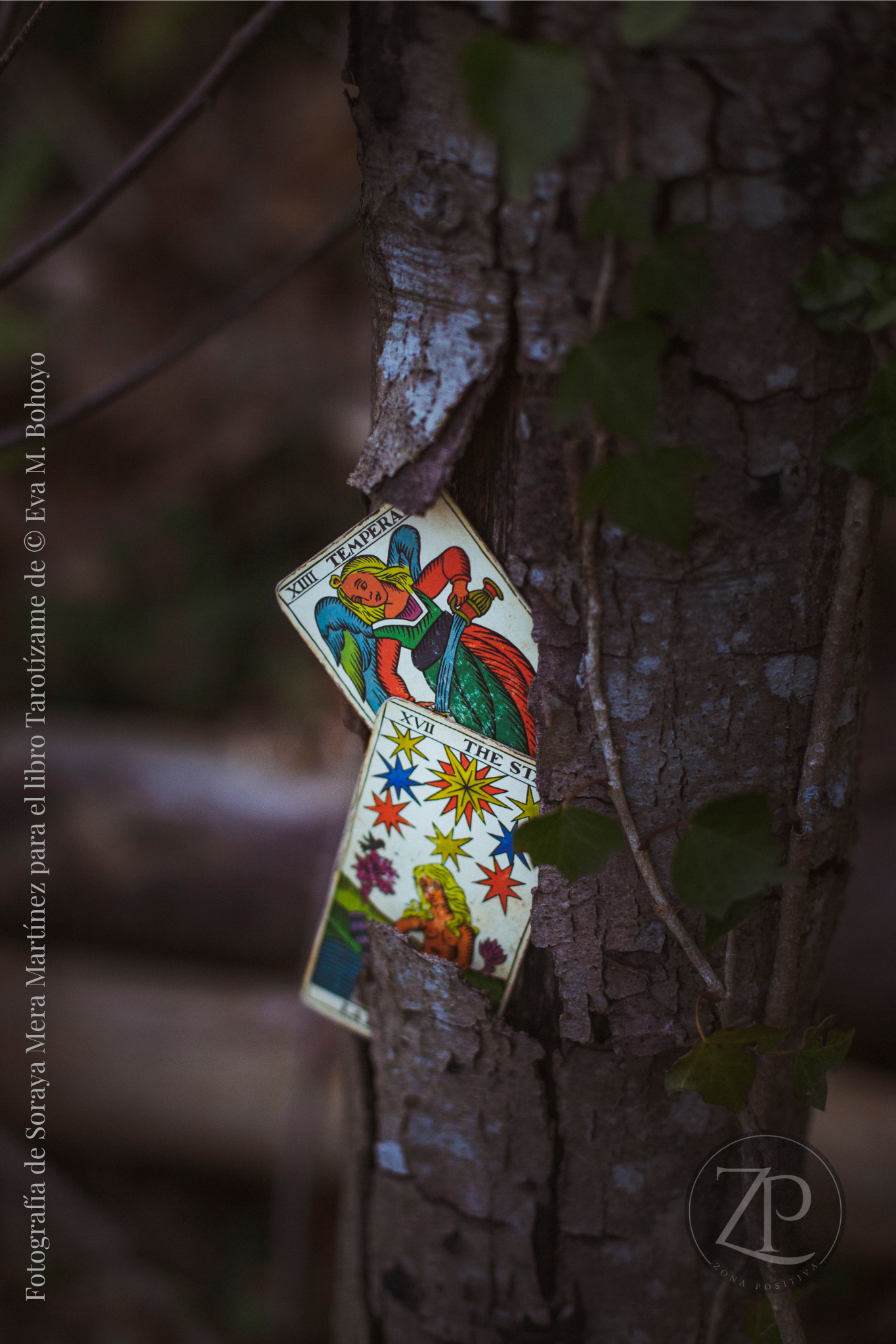 Tarotízame, libro de Tarot Evolutivo y arcanos mayores de Eva M. Bohoyo, Editorial Círculo Rojo